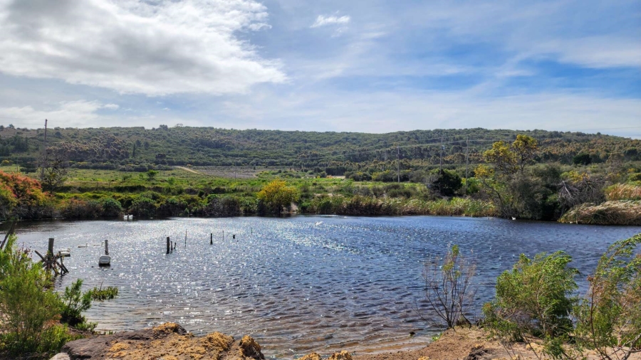 5 Bedroom Property for Sale in Uilenkraalsmond Western Cape